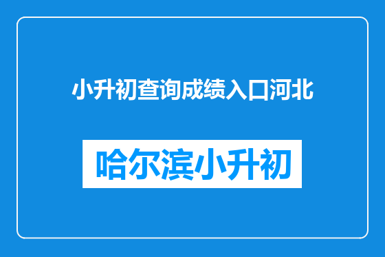 小升初查询成绩入口河北