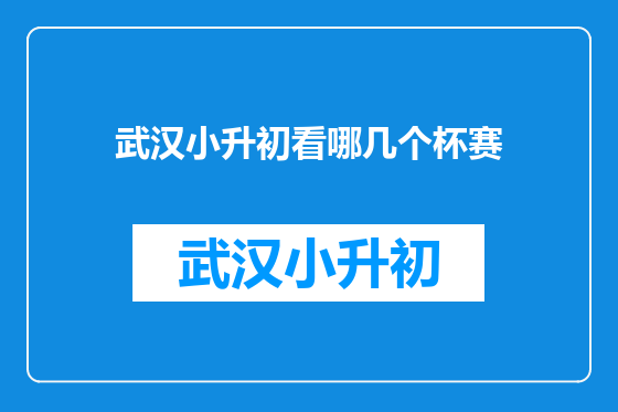 武汉小升初看哪几个杯赛