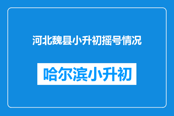 河北魏县小升初摇号情况