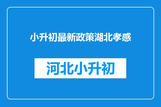 小升初最新政策湖北孝感