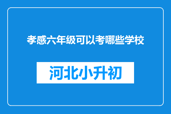 孝感六年级可以考哪些学校
