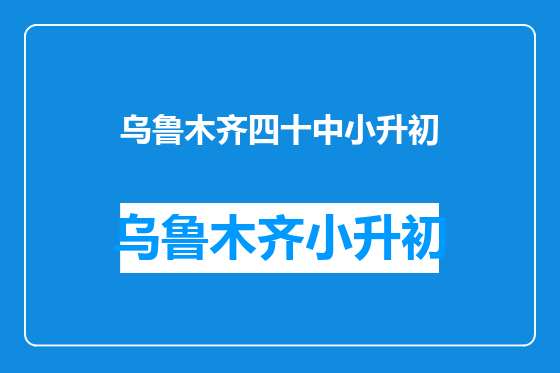 乌鲁木齐四十中小升初