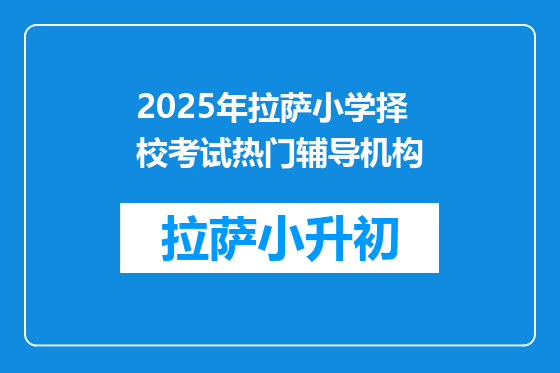 2025年拉萨小学择校考试热门辅导机构