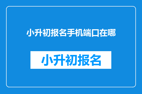 小升初报名手机端口在哪