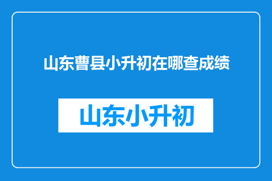 山东曹县小升初在哪查成绩