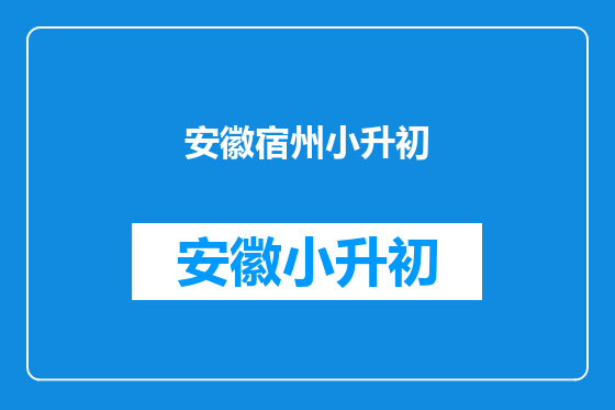 安徽宿州小升初