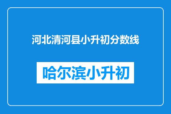 河北清河县小升初分数线
