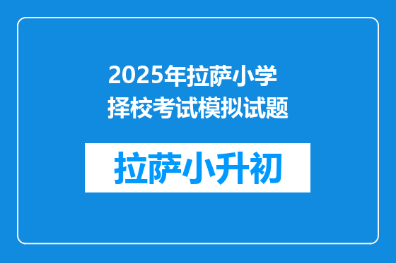 2025年拉萨小学择校考试模拟试题
