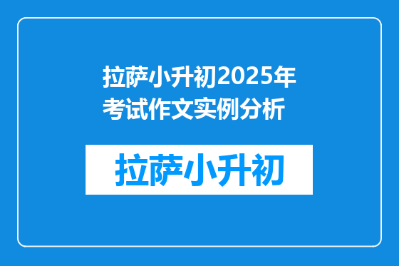 拉萨小升初2025年考试作文实例分析
