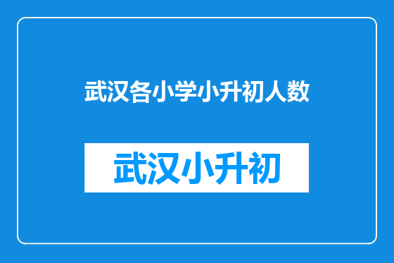 武汉各小学小升初人数