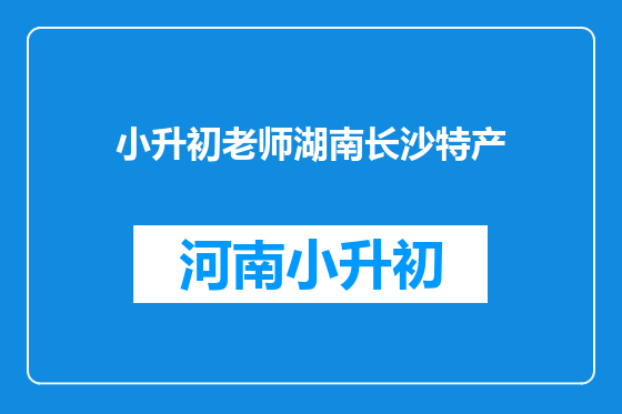 小升初老师湖南长沙特产