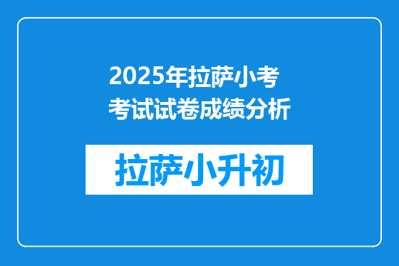 2025年拉萨小考考试试卷成绩分析