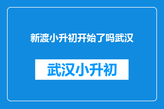 新渡小升初开始了吗武汉