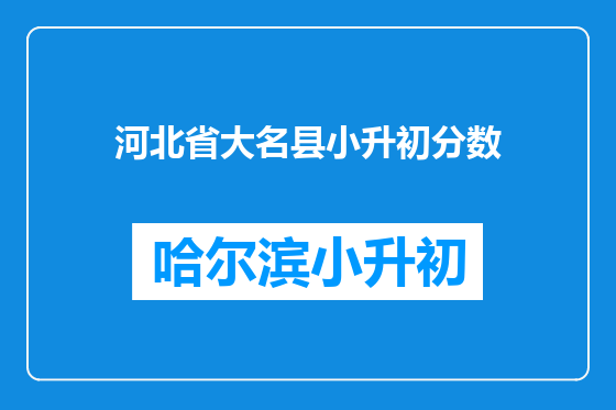 河北省大名县小升初分数
