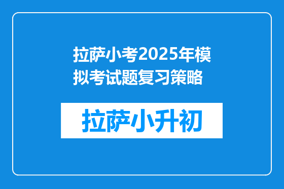 拉萨小考2025年模拟考试题复习策略