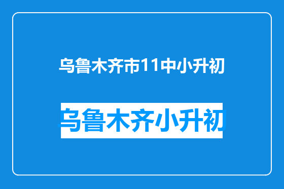 乌鲁木齐市11中小升初
