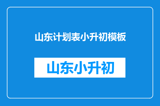 山东计划表小升初模板