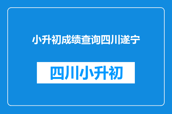 小升初成绩查询四川遂宁