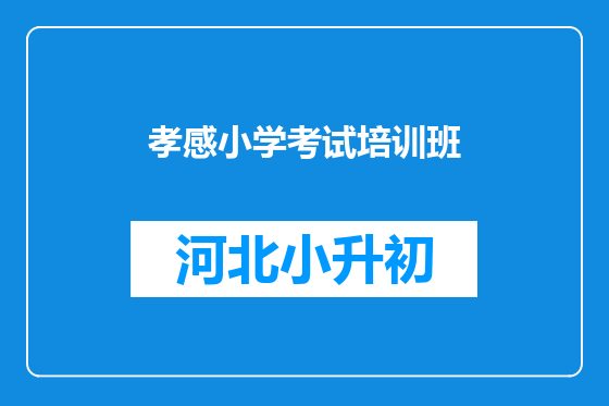 孝感小学考试培训班