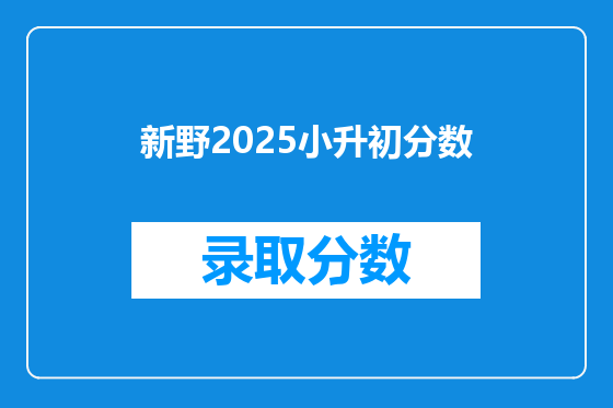 新野2025小升初分数
