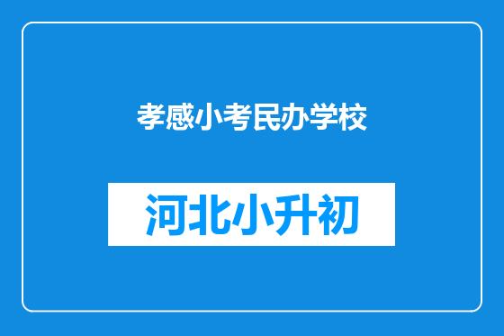孝感小考民办学校