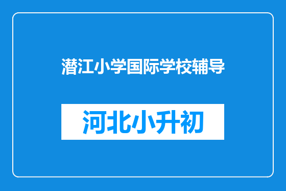 潜江小学国际学校辅导