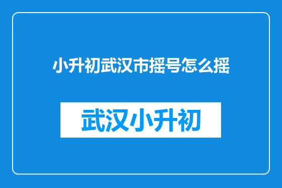 小升初武汉市摇号怎么摇