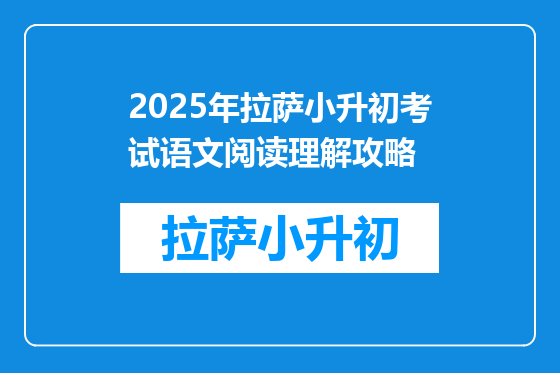 2025年拉萨小升初考试语文阅读理解攻略