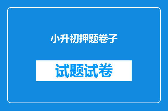 小升初押题卷子