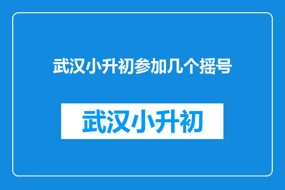 武汉小升初参加几个摇号