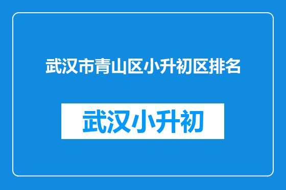 武汉市青山区小升初区排名