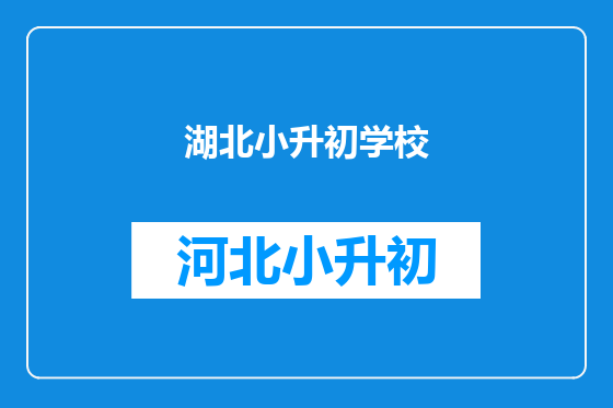 湖北小升初学校