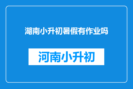 湖南小升初暑假有作业吗