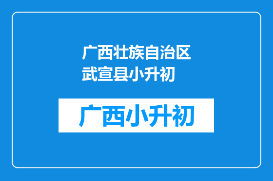 广西壮族自治区武宣县小升初