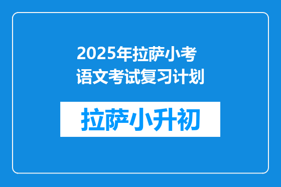 2025年拉萨小考语文考试复习计划