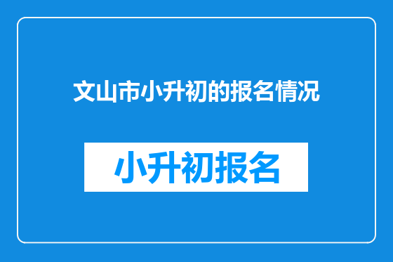 文山市小升初的报名情况