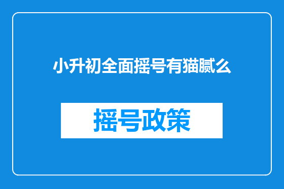 小升初全面摇号有猫腻么