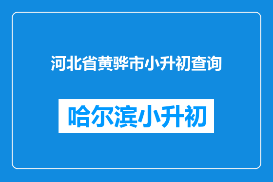 河北省黄骅市小升初查询