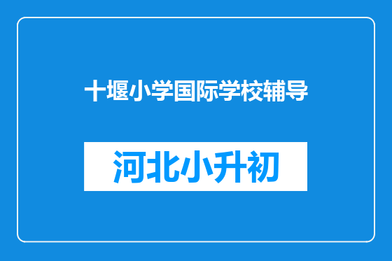 十堰小学国际学校辅导