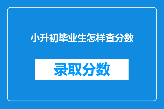 小升初毕业生怎样查分数