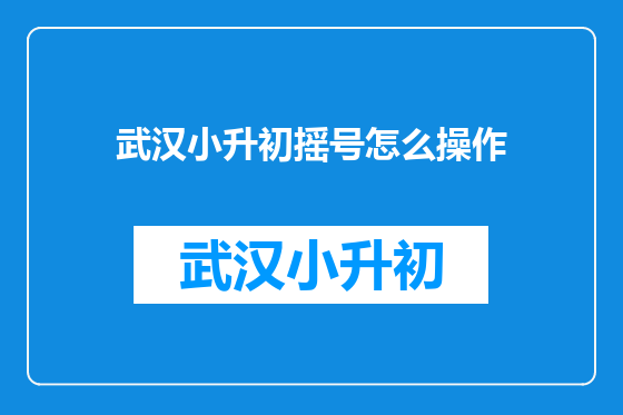 武汉小升初摇号怎么操作