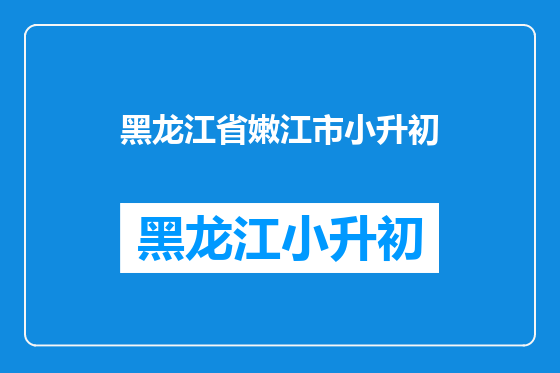 黑龙江省嫩江市小升初