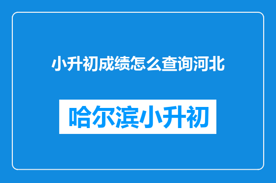 小升初成绩怎么查询河北