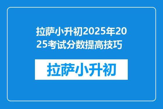 拉萨小升初2025年2025考试分数提高技巧