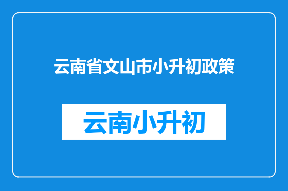云南省文山市小升初政策