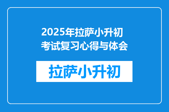 2025年拉萨小升初考试复习心得与体会