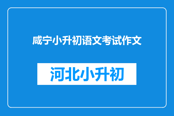 咸宁小升初语文考试作文