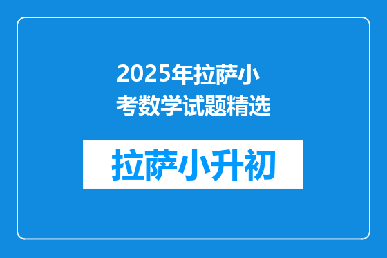 2025年拉萨小考数学试题精选