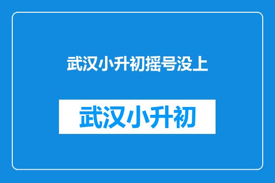 武汉小升初摇号没上