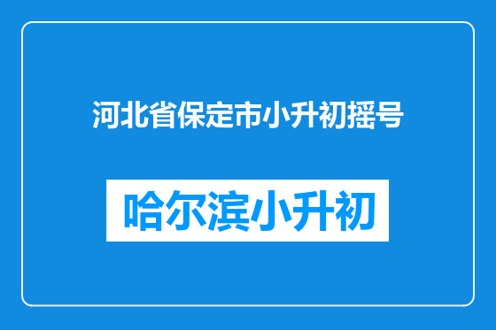 河北省保定市小升初摇号